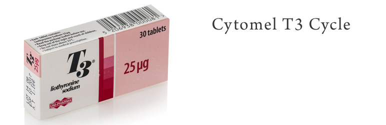 Cytomel T3 Cycle