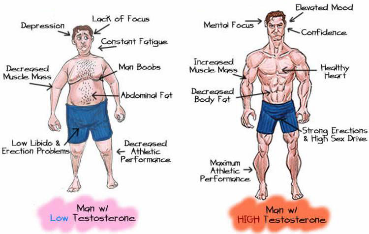 Types of Antioestrogens and their Benefits